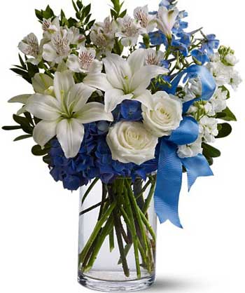 arrangement-bluewhite